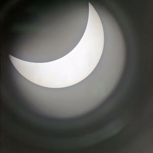 Meet your Posher, Peggy